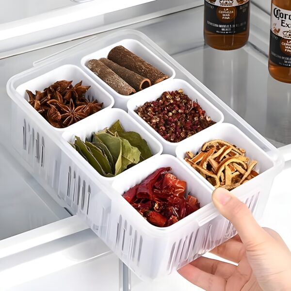 Fridge Storage Box Freezer Storage Containers, Kitchen Organizer Container with Lid, Moisture-Free Vegetable Storage Plastic Storage Containers for Vegetables. (6 Grid, Medium Box)